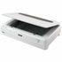 Epson Expression 13000XL A3 graphics scanner - TecAfrica Solutions