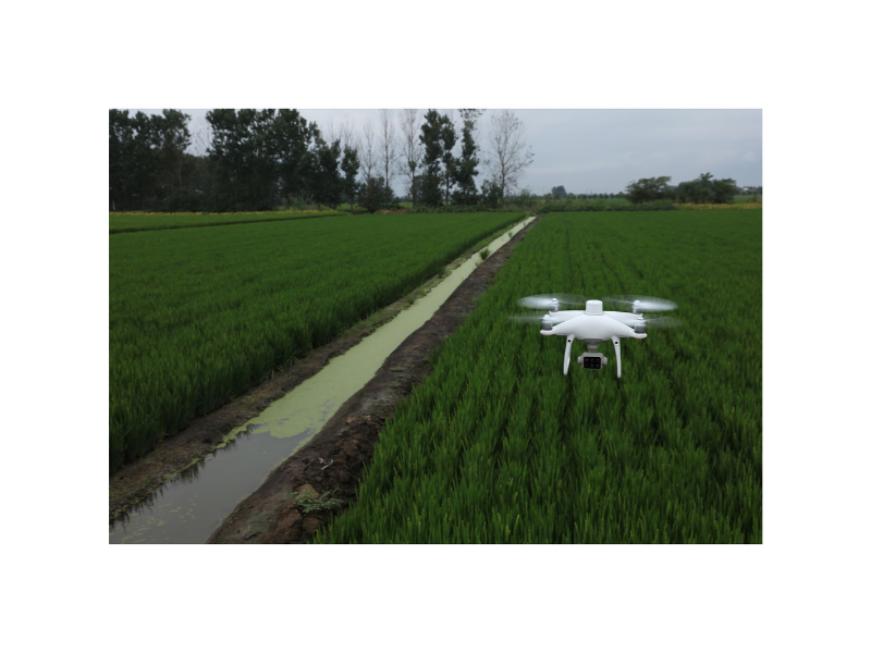 DJI-PHANTOM 4 MULTISPECTRAL (Pre-Owned)