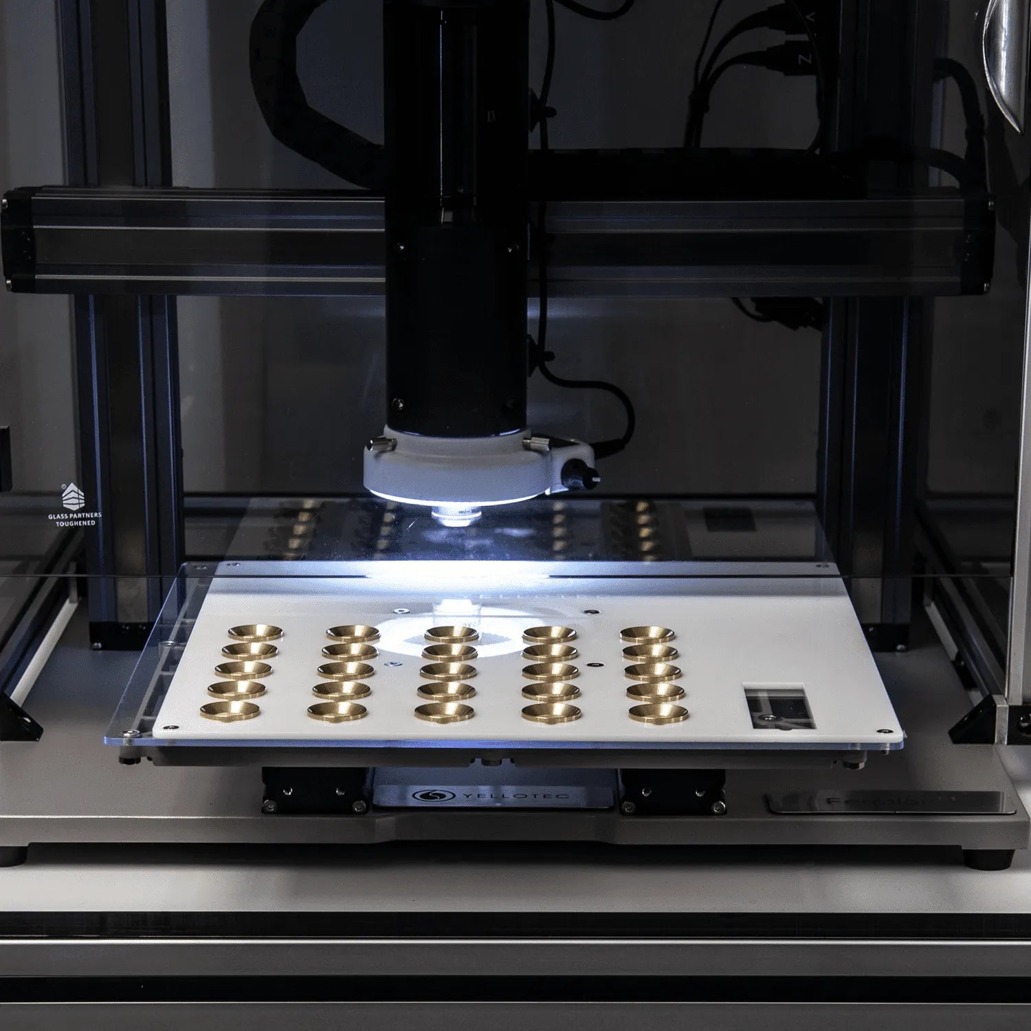 Fermion C1