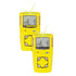 BW Gas Alert MicroClip XL