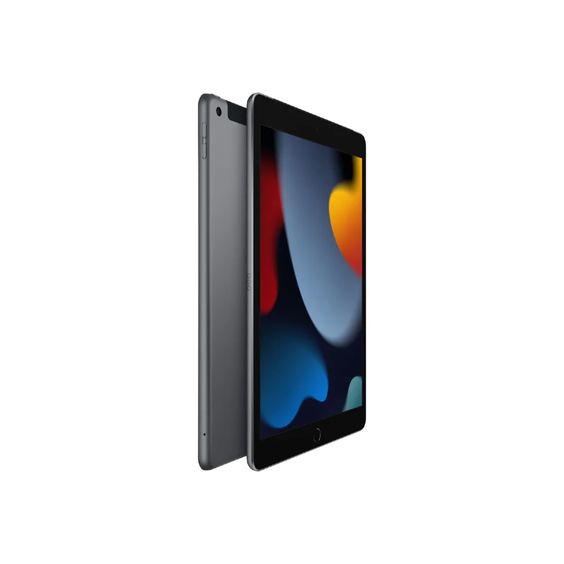 10.2-inch iPad 9th Gen 256GB Wi-Fi + Cellular - Space Grey