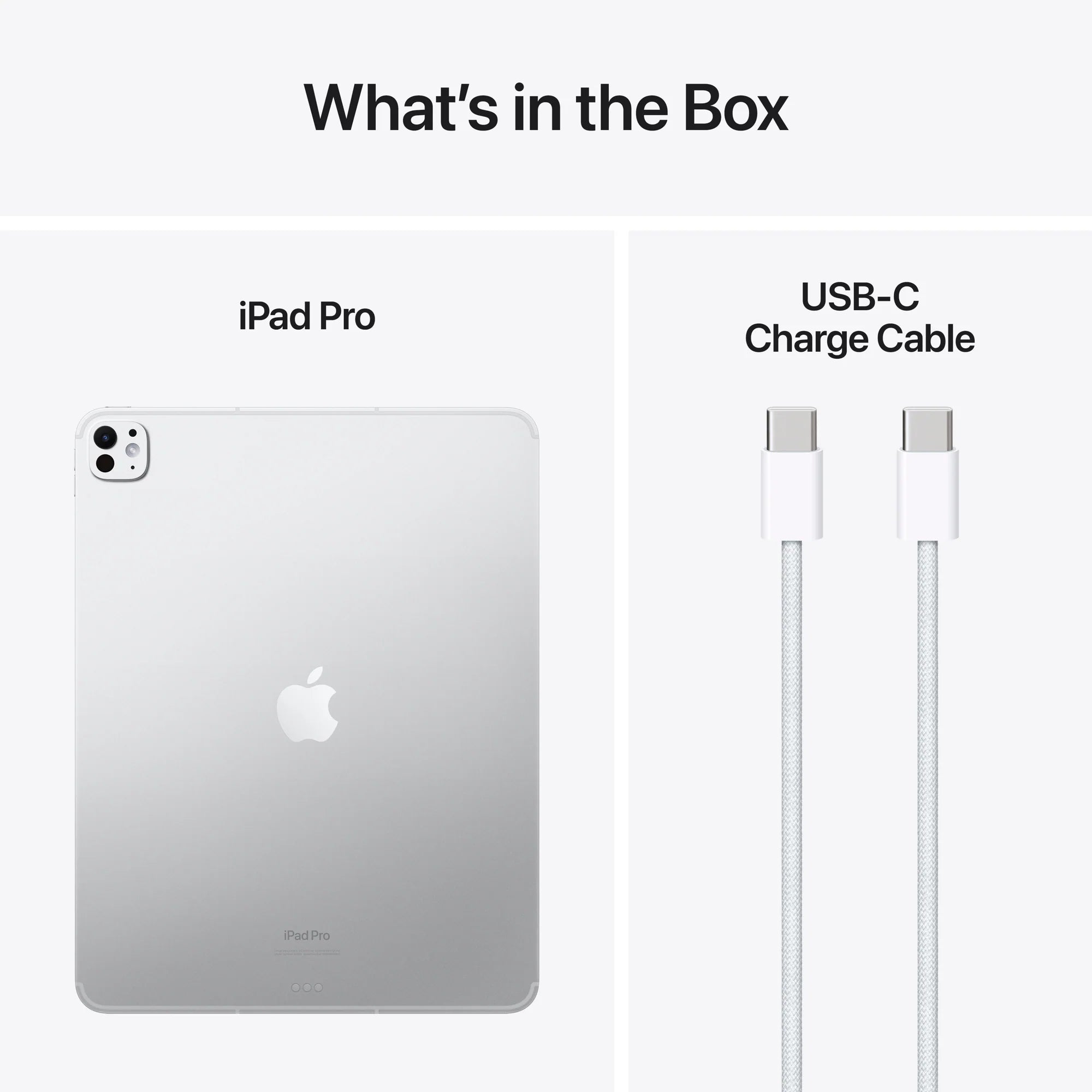 iPad Pro|M4 - 13-inch Wi-Fi + Cellular 256GB Silver- Standard Glass