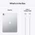 iPad Pro|M4 - 13-inch Wi-Fi + Cellular 256GB Silver- Standard Glass