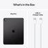 iPad Pro|M4 - 13-inch Wi-Fi + Cellular 256GB Space Black- Standard Glass
