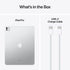 iPad Pro|M4 - 13-inch Wi-Fi 256GB Silver - Standard Glass