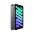 iPad mini Wi-Fi + Cellular 256GB - Space Grey