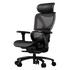 Thunderx3 XTC PRO Ergonomic Chair - Mesh Black (TEGC-3091101.11)