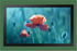 Samsung 13'' Edge LED FHD 300 NIT 16/7 Hour Panel