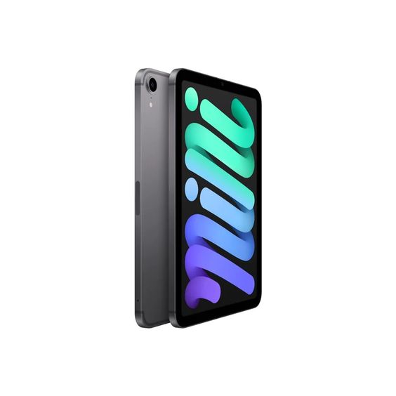 iPad mini 6th Gen Wi-Fi + Cellular 256GB - – TecAfrica Solutions