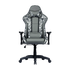 CM Chair Caliber R1S Gaming Chair Sakura CAMO