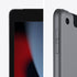 iPad 10.2-inch (9th gen) Wi-Fi + Cellular 256GB - Space Grey/Silver - TecAfrica Solutions