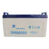 CNBM 12V 100AH VRLA GEL Battery - TecAfrica Solutions